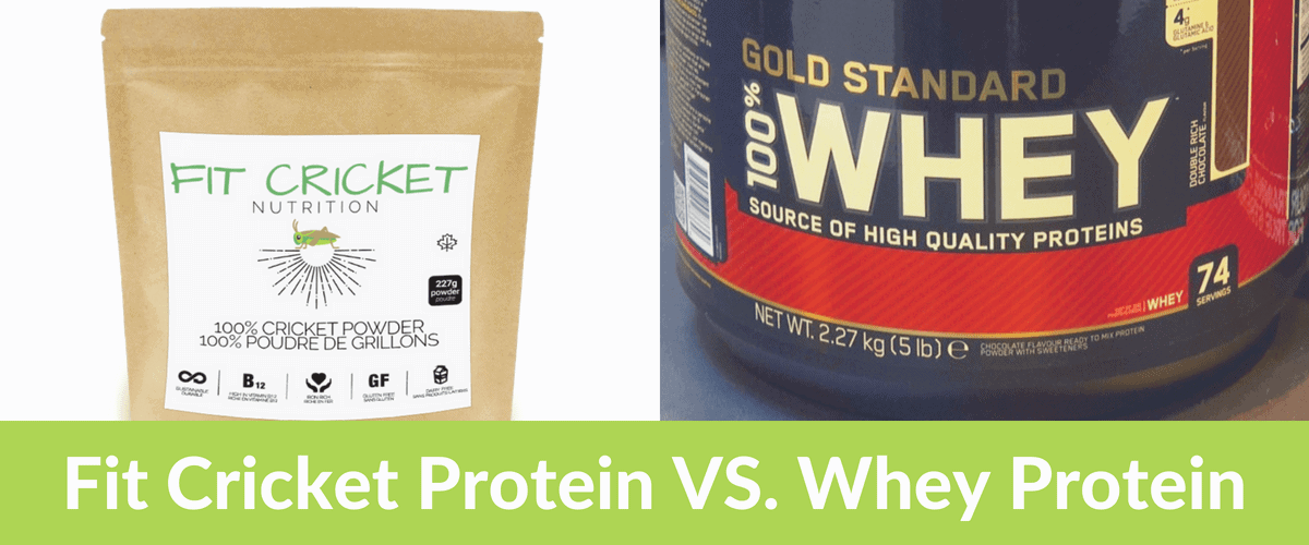 Fit Cricket vs whey protein 