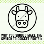 Why you should make a switch to cricket protein