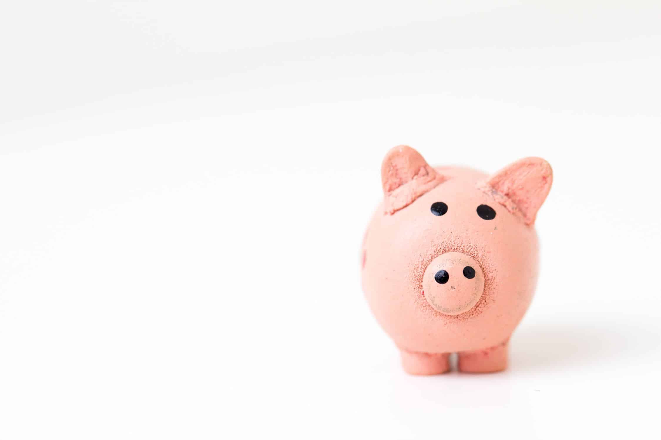 Piggy bank on white background