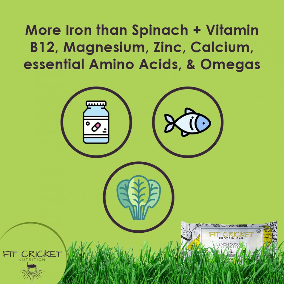 Cricket Protein: A Sustainable, Nutrient-Packed Alternative for a ...